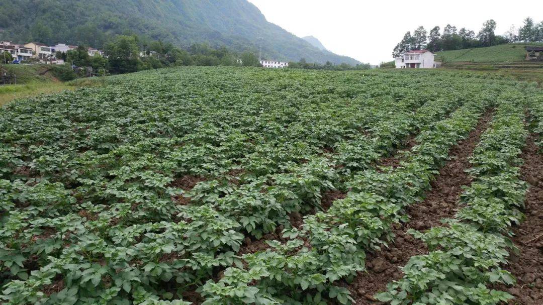 市级劳动模范事迹展播② | 何永志